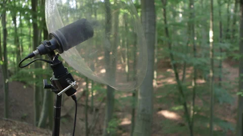 Recording sounds of forest Stock Footage 34300506