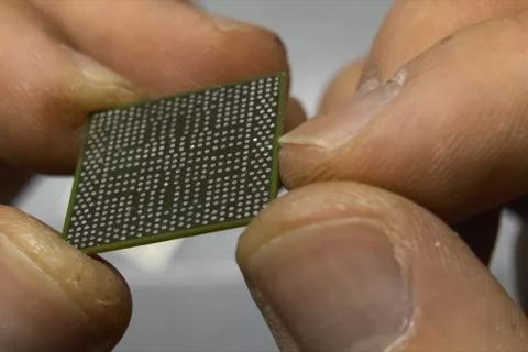 Recovered computer microprocessor chip is in the hands of a man. Stock Photos
