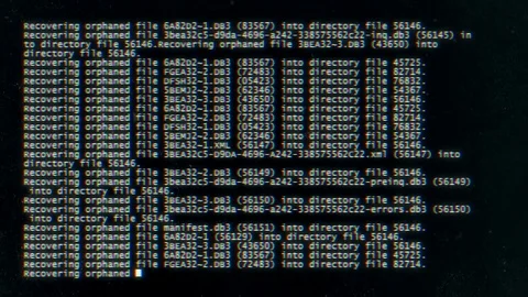 Recovering System Files Vídeos de archivo 71891497