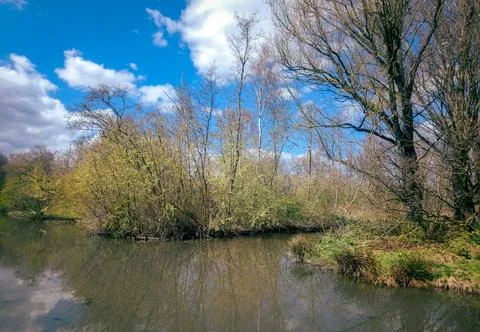 Recreation area in spring Foto stock