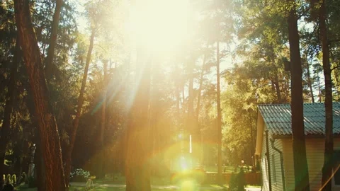 Recreation center in the sun rays and group of people walking in lawn Vidéo 243336033