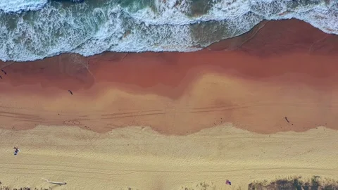 Recreation at Curl Curl sandy beach of Sydney Northern beaches – 4k. Stock Footage 169445085