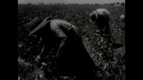 Recreation of Eli Whitney making hat pins for women in a shop, and picking seeds Stock Footage