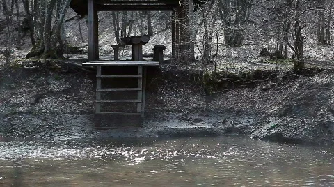 Recreation in the forest Stock Footage 666432