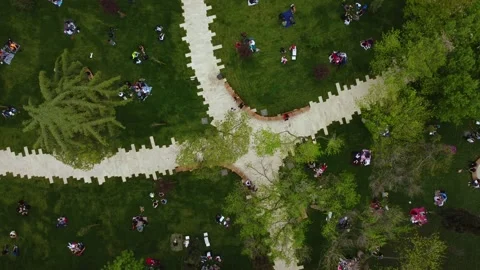 Recreation Zone In Summer Stock Footage 168952176