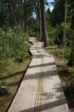 Recreational bicycle path Stock Photos