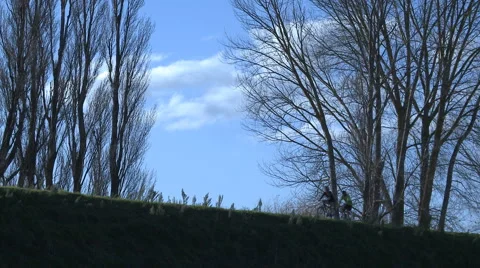 Recreational bikers Stock Footage 5145188
