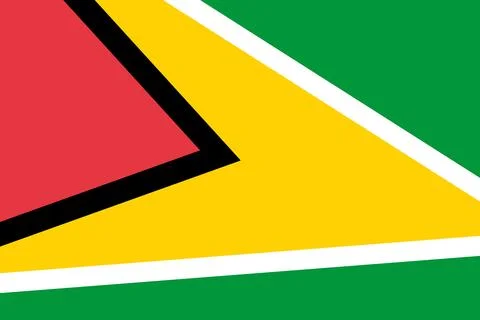 Rectagular flag cutout of Guyana Stock Illustration
