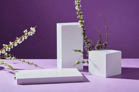 Rectangle and cube podiums in white color displayed with some white flower br 스톡 사진