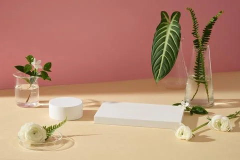 Rectangle and round podium displayed on beige background with Persian Butterc Stock Photos