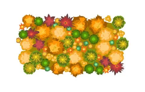 Rectangle Autumn landscape top view. Scene with yellow and orange trees and b 스톡 일러스트