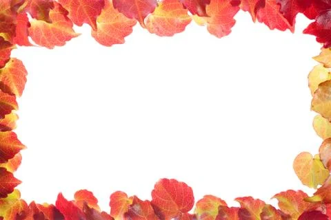 Rectangle border of red and yellow leaves Stock Photos