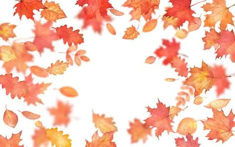 Rectangle frame with leaves fall blur. Autumn falling maple leaves with copy Illustrazione stock
