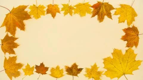 Rectangle frame of natural yellow and brown autumn maple leaves on a beige ba Stock Photos