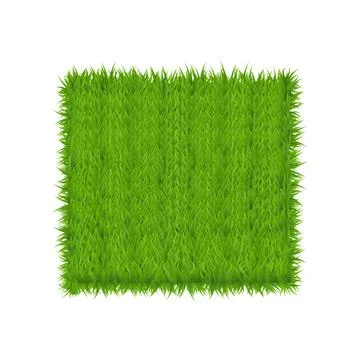 Rectangle green grass banner. Vector background. Green Grass Field Banner Stock Illustration