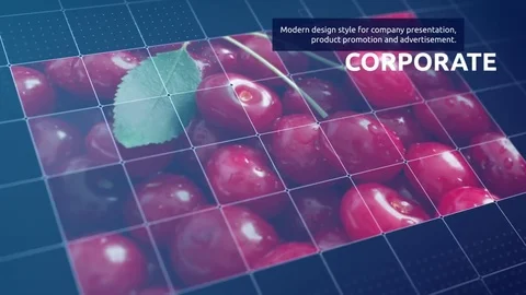 Rectangle Grid Show Set Stock After Effects