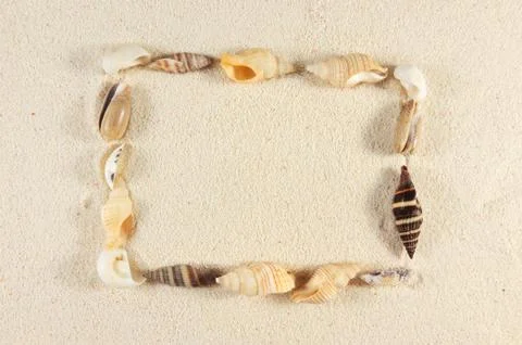 Rectangle made of seashells 스톡 사진