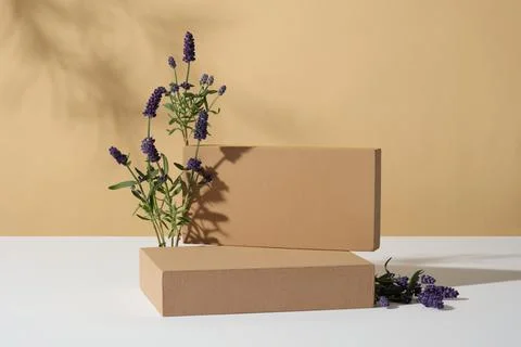 Rectangle podiums stacked on top of each other, displayed with lavender flowe Foto stock
