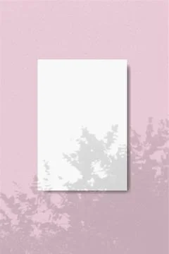 An rectangle sheet of white textured paper on a pink wall background. Natural Stock Illustration