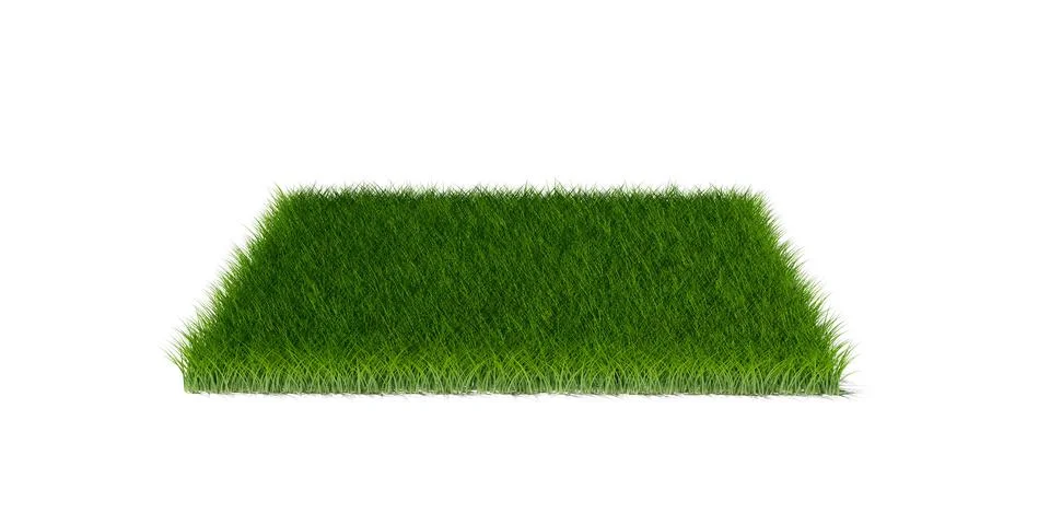 Rectangle square patch or island of short cut green grass isolated on white b Stock Illustration