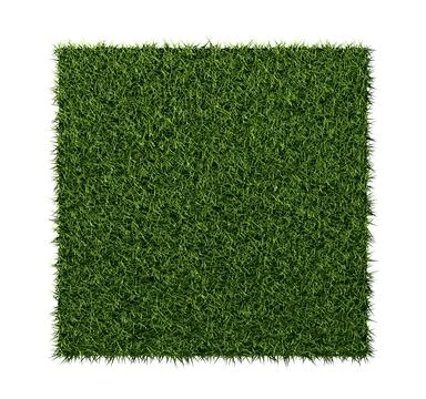 Rectangle square patch or island of green grass isolated on white background  Stock Illustration