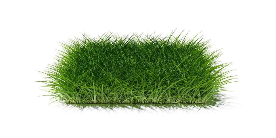 Rectangle square patch or island of long green grass isolated on white backgr Stock Illustration
