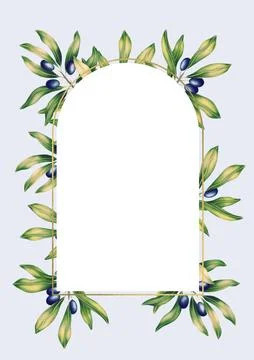 Rectangular A4 template for text with olive branches and leaves. Frame or border Stock Illustration