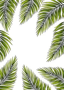 Rectangular A4 template for text with tropical palm leaves. Frame or border with Stock Illustration