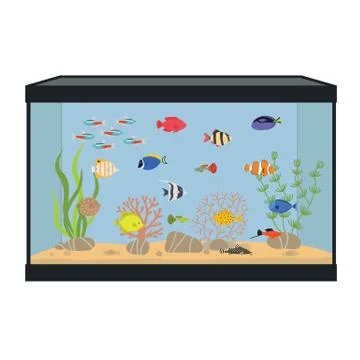 Rectangular aquarium with colorful fish Stock Illustration