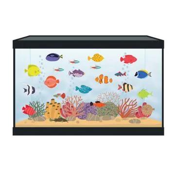 Rectangular aquarium with colorful fish Stock Illustration