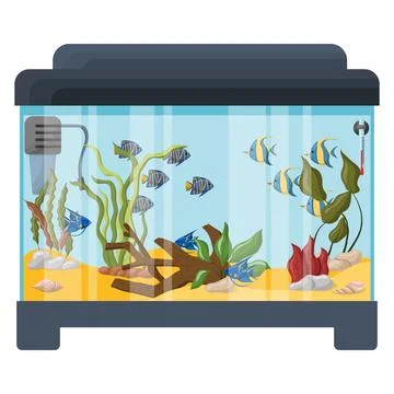 Rectangular aquarium with fish and algae. Vector illustration isolated on a w Stock Illustration