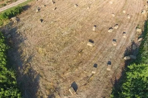 Rectangular bales of hay on the field. Hay Stock Photos