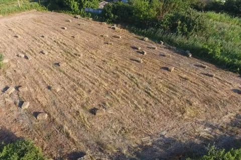 Rectangular bales of hay on the field. Hay Stock Photos