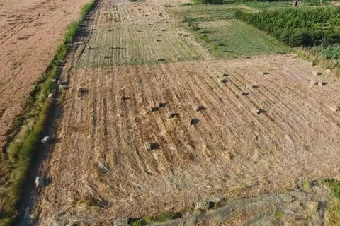 Rectangular bales of hay on the field. Hay Stock Photos