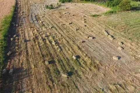 Rectangular bales of hay on the field. Hay Stock Photos