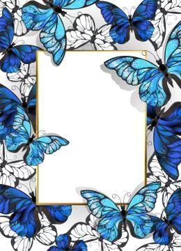 Rectangular banner with butterflies morpho Ilustración de archivo