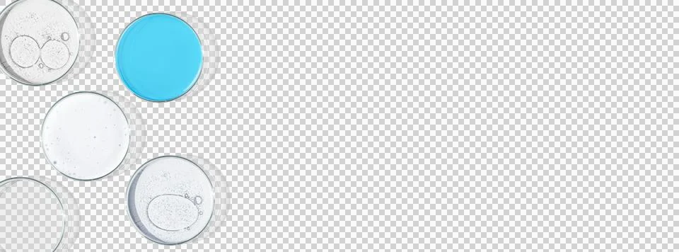 Rectangular banner with Petri dishes isolated. laboratory, research of molecu Stock Photos
