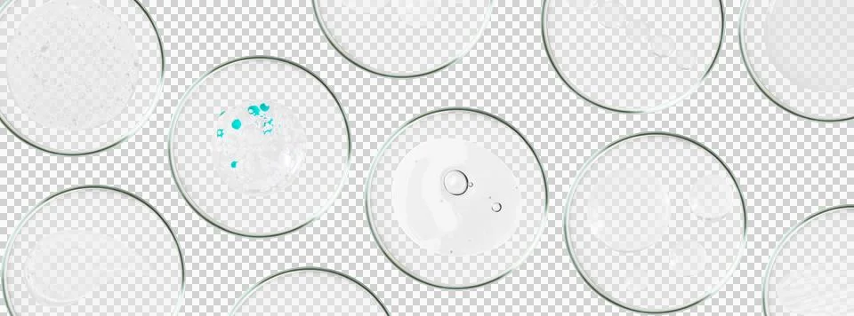 Rectangular banner with Petri dishes isolated. Smears of transparent gel, ser Stock Photos