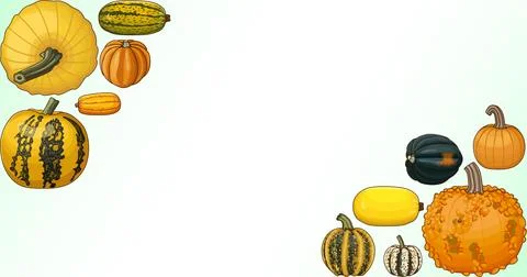 Rectangular banner. Winter squash. Clipart. 스톡 일러스트
