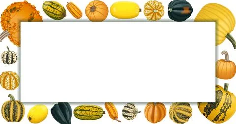 Rectangular banner. Winter squash. Cucurbita pepo Stock Illustration