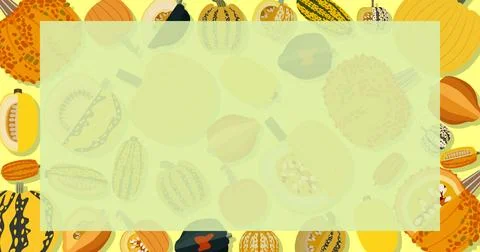 Rectangular banner. Winter squash. Flat style. Stock Illustration