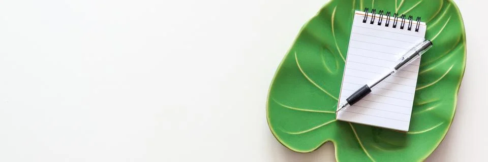 Rectangular black frame poster with succulent plant in concrete pot on white Stock Photos