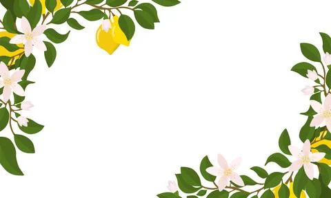 Rectangular border of lemon twigs and lemons, angular composition. Composit.. Stock Illustration