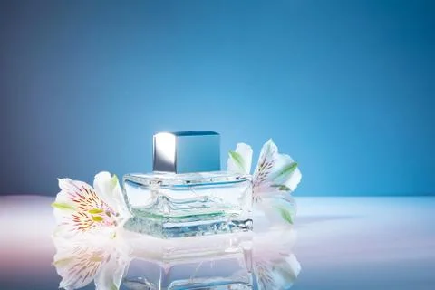 Rectangular bottle of perfume with flowers on a blue background Фото