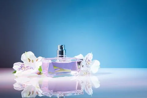 Rectangular bottle of perfume with flowers on a blue background Stock Photos