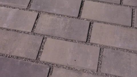 Rectangular concrete paving stones forming walkway surface Vidéo 343691451