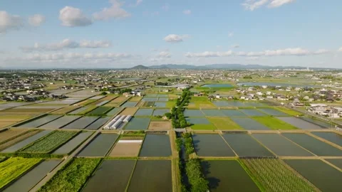 Rectangular flooded rice paddies in grid by irrigation canal in countryside Stock Footage 242606375