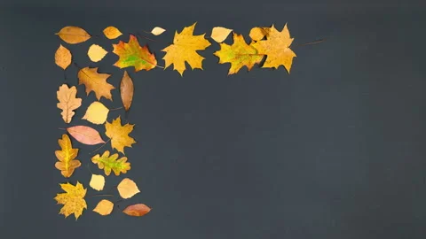 Rectangular frame of beautiful autumn leaves. Black background. Greeting card. 스톡 동영상 315245065