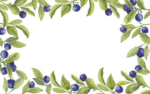 Rectangular frame with blueberries Stock Illustration