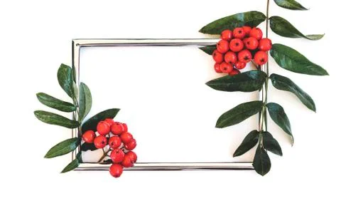 Rectangular frame decorated with rowan branches on a white background Foto stock